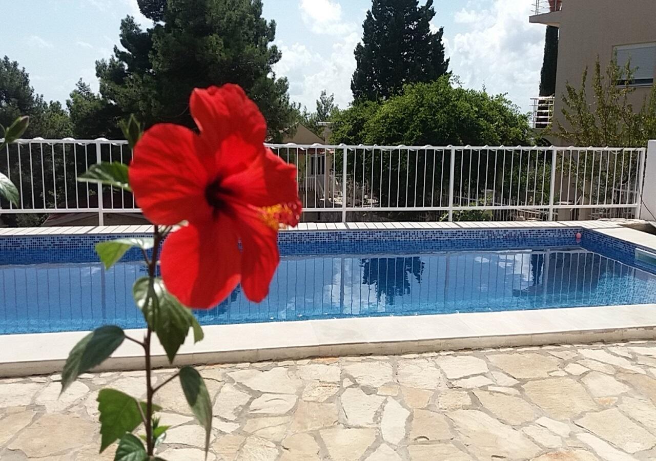 Apartment Tijana Bar Luaran gambar